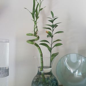 Meet your Posher, Althea